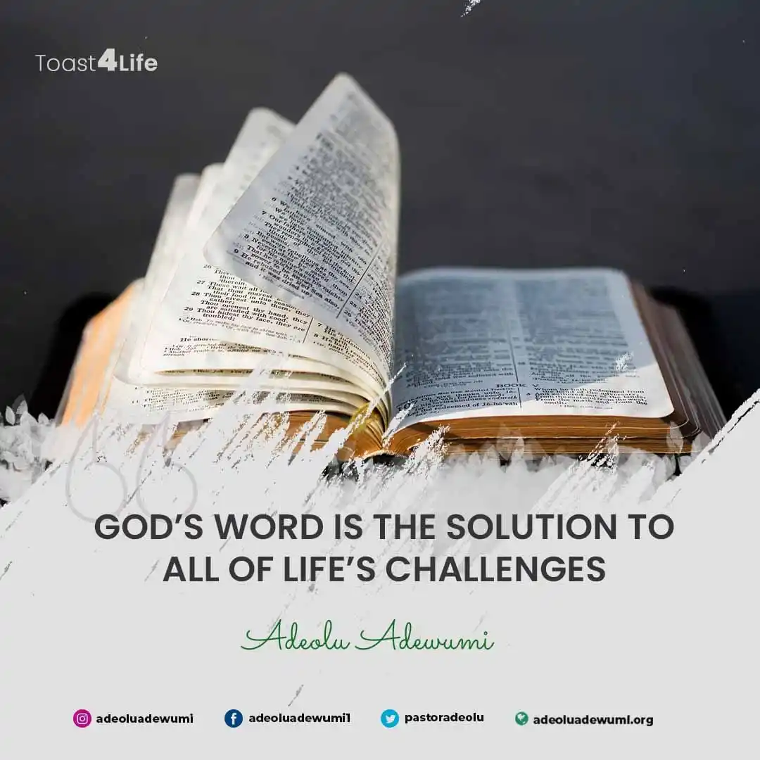 Image from Adeolu Adewumi: <a class="text-blue-500 hover:underline cursor-pointer" href="/hashtag...