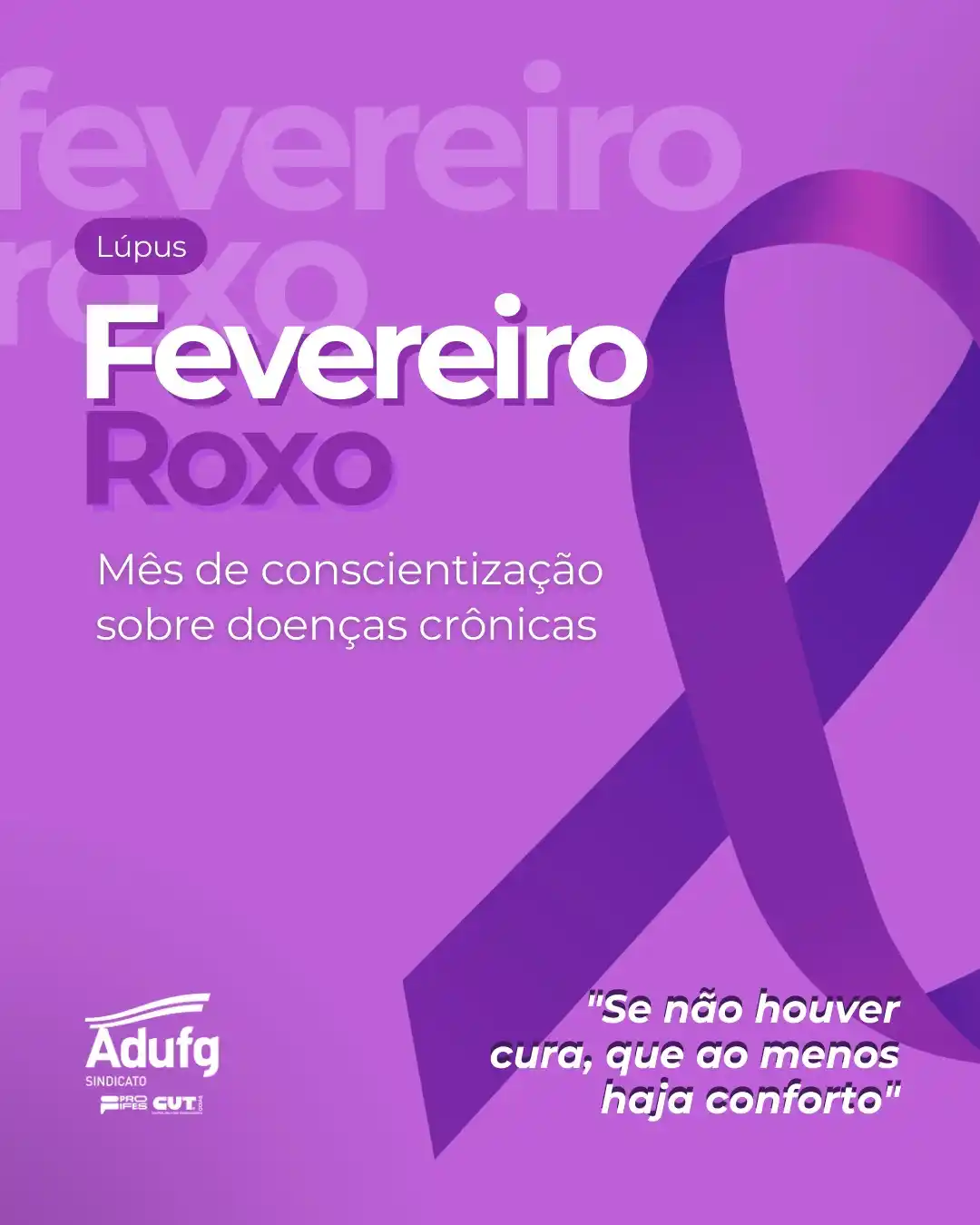 Adufg Notícias post