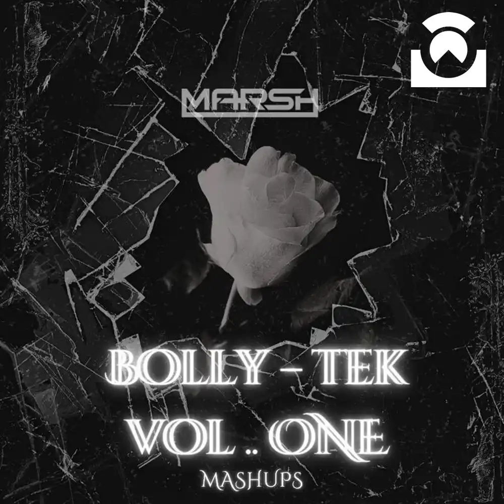 Image from AIDM: BOLLY-TEK [VOL.1] - DJ MARSH  Download: https://tinyurl.com/y5ud2ee6  ...
