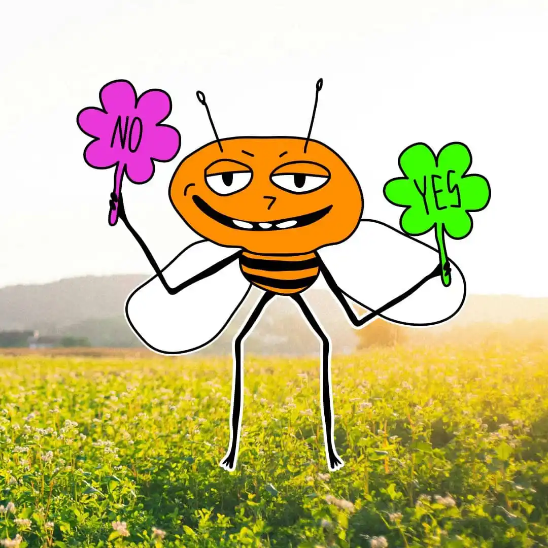 Airdrop & Crypto With Decision® post