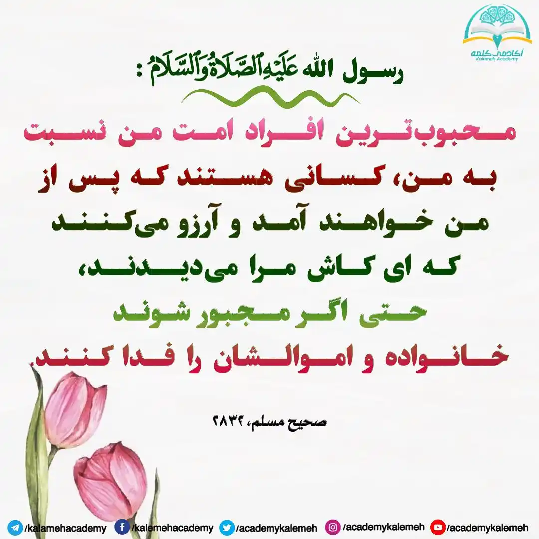 آكادمى كلمه post