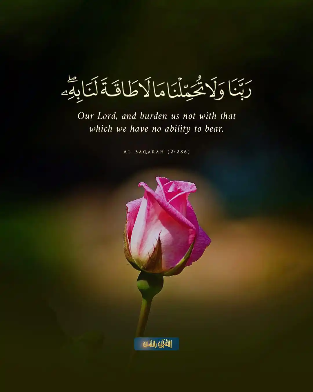 Al Quran Passion | القرآن post