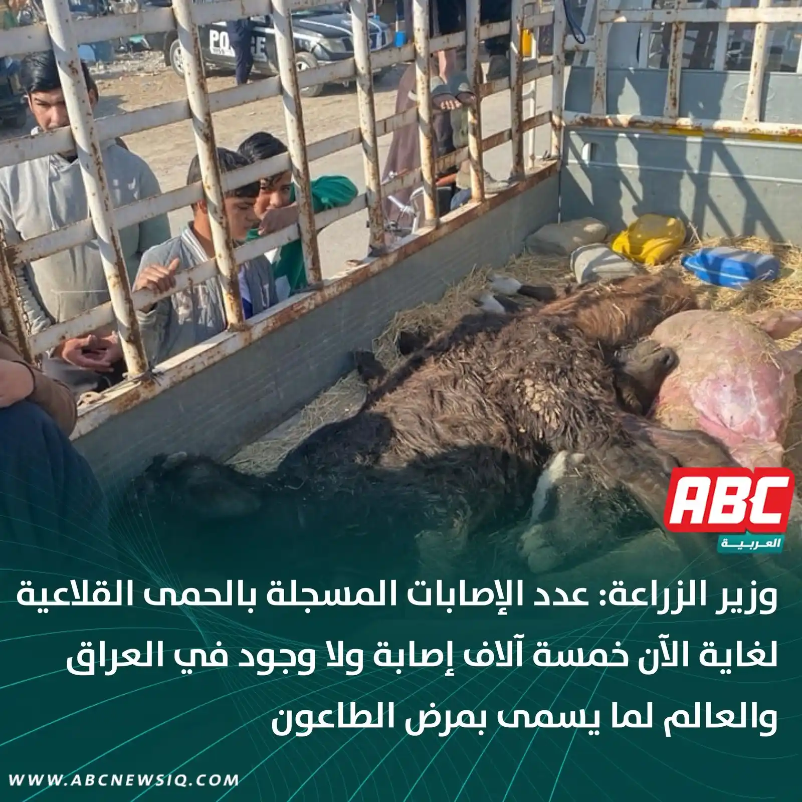العربيةABC post