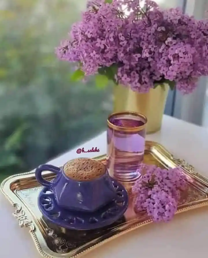 🌹 الديس الشرقية غير  🌹 post