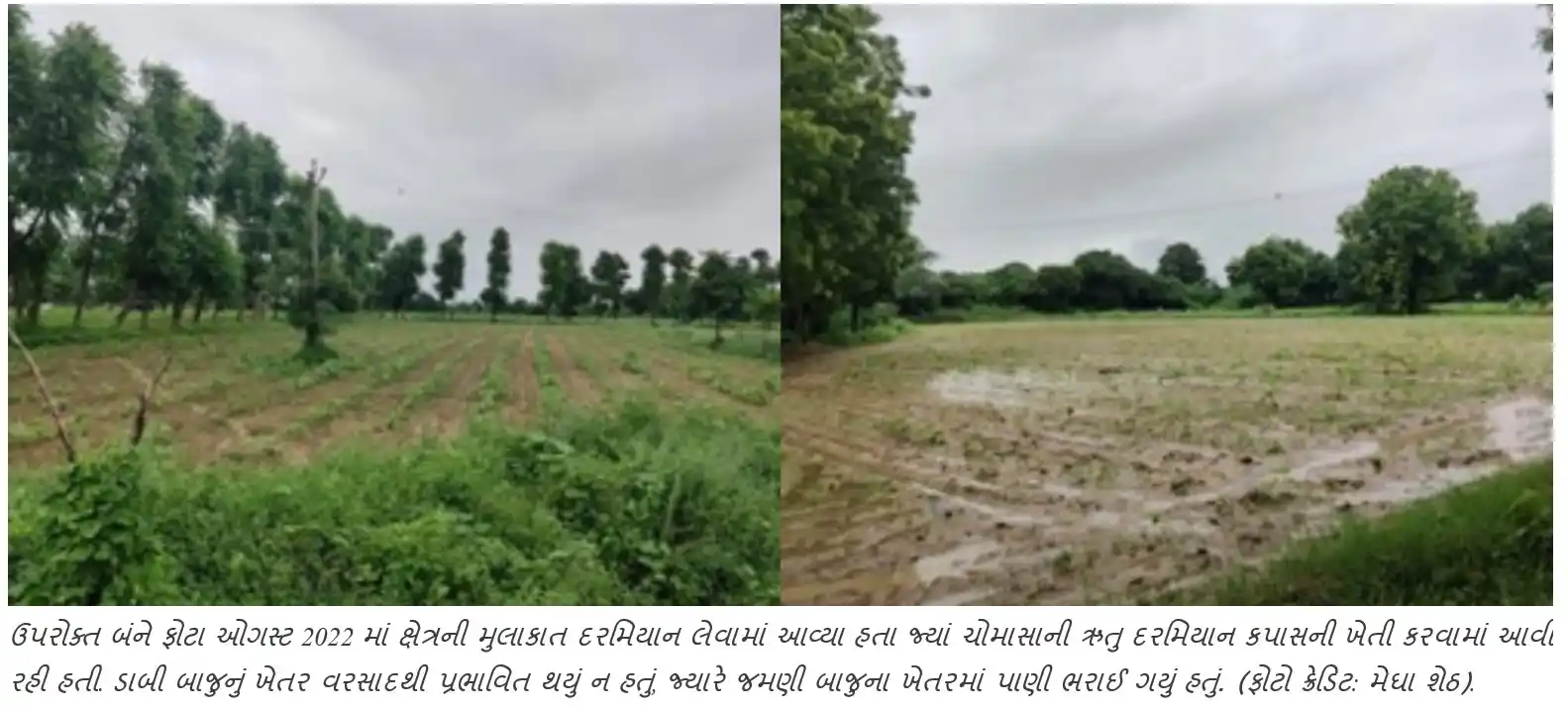 All India Disaster Mitigation Institute post