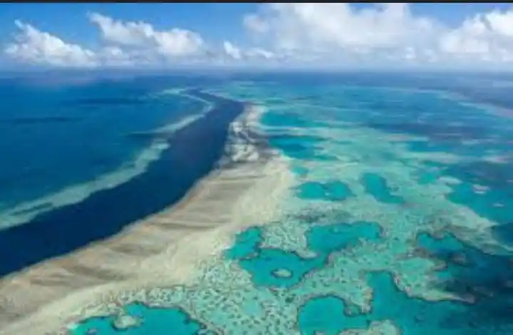 Allschool.ng Edu News post