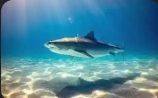 Allschool.ng Edu News post