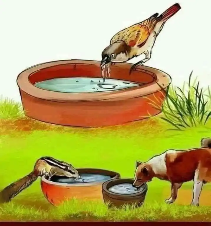 🌸  اسلام کی دعوت 💞  post