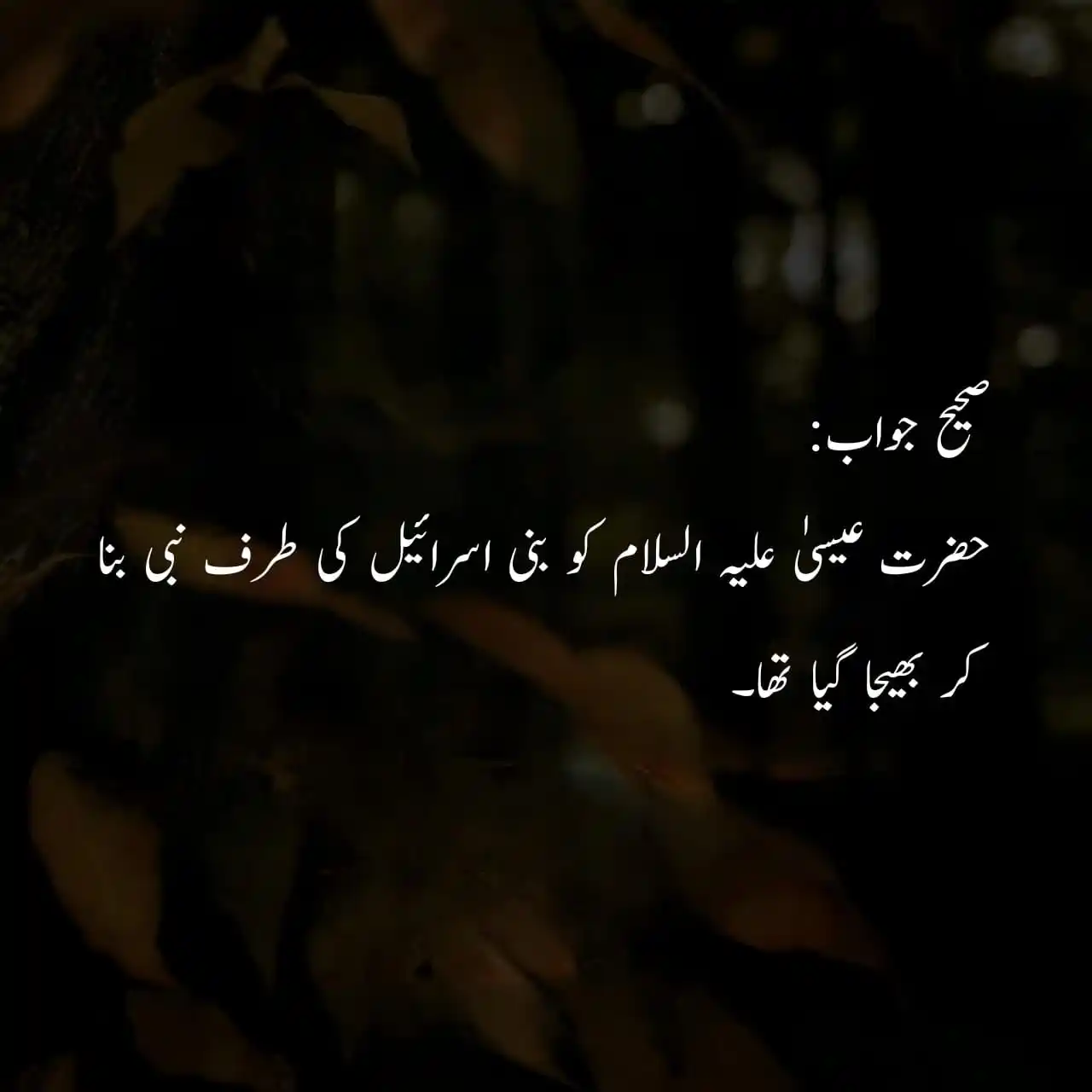 🌸  اسلام کی دعوت 💞  post