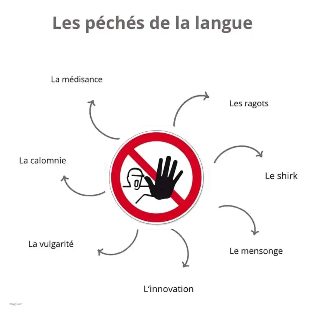 ASSALAFIYYAH : AHLOULSUNNATI  WALDJAMAA( L'ISLAM SELON LA COMPRÉHENSION DES PIEUX PRÉDÉCESSEURS ) post