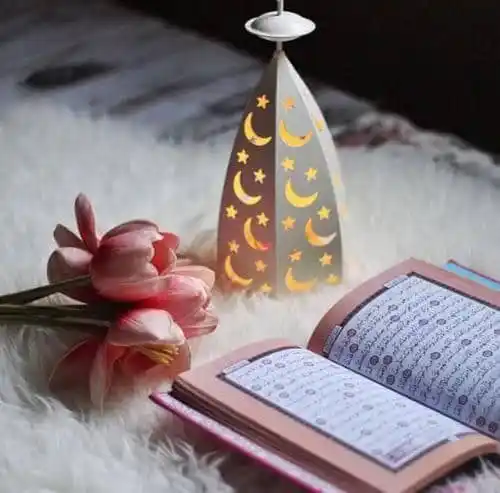 🥀ښایست ویډیو ګانو چینل🏵️ post