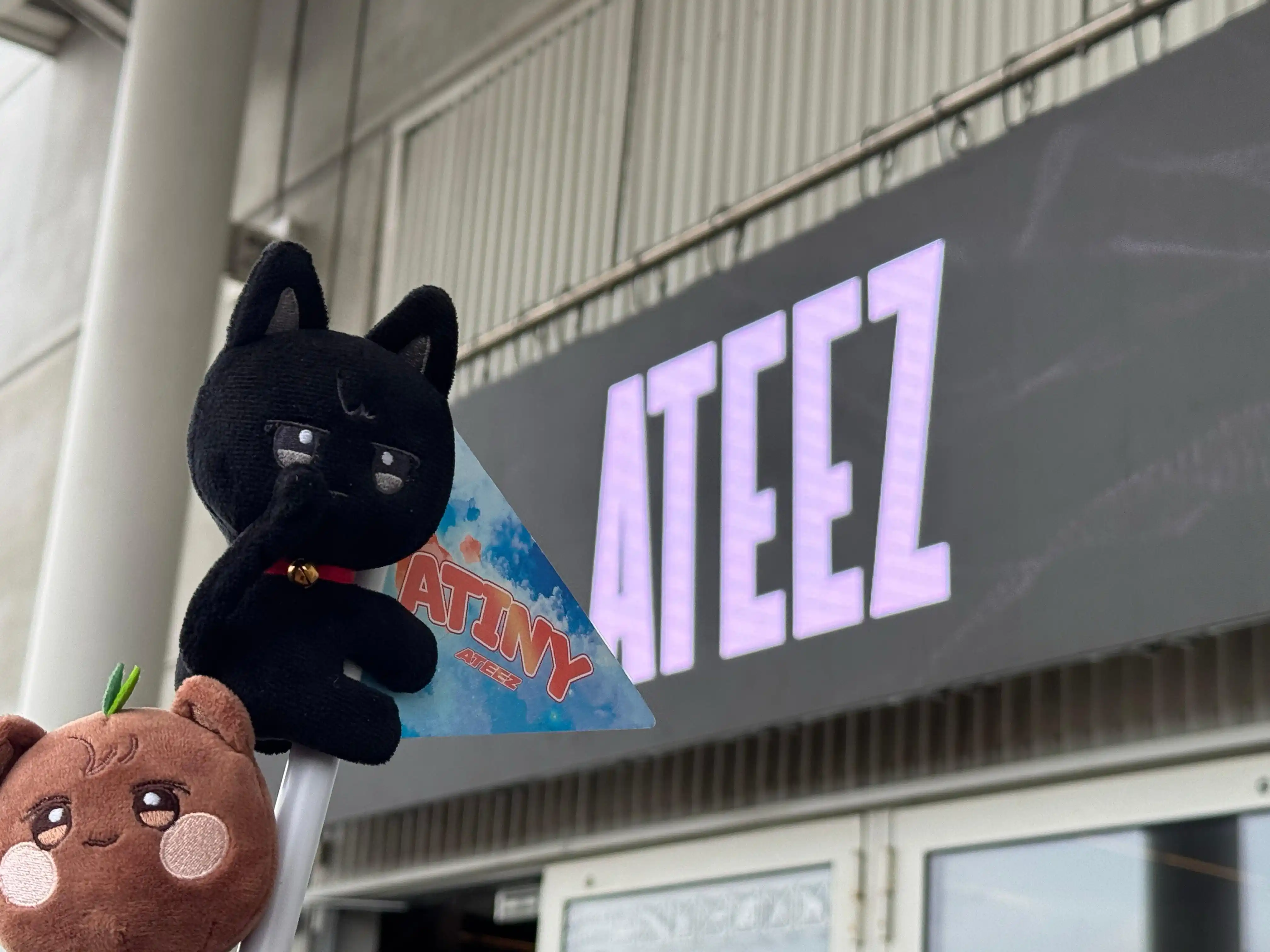 LOS PIRATAS DEL CARIBE | 𐙚 ATEEZ INFO post