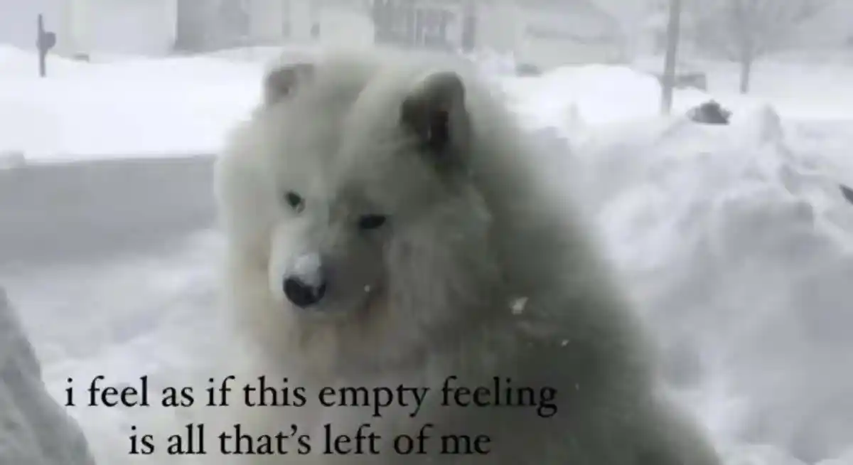 Autismood🦈✩ post