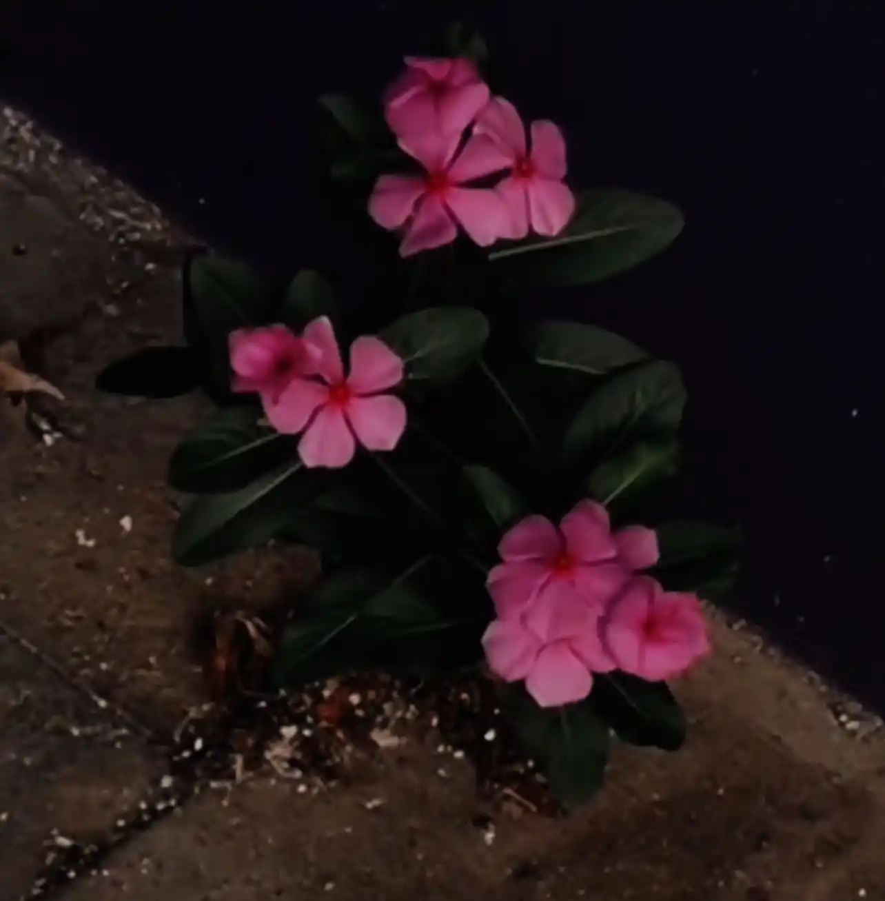 Autismood🦈✩ post