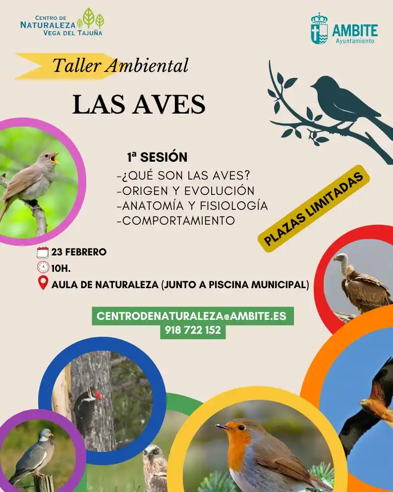 Ayuntamiento de Ambite - Servicio de Información Vecinal. post