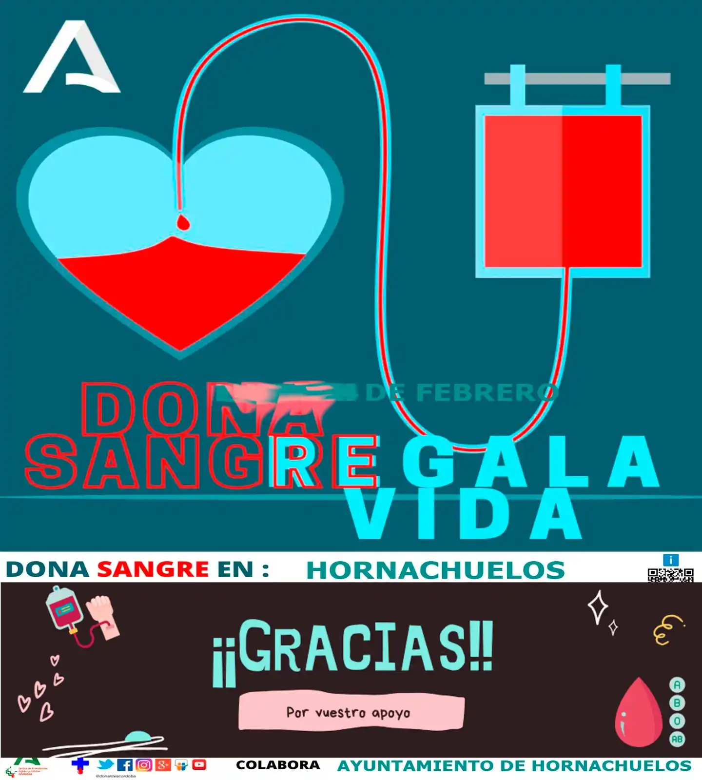 Image from Ayuntamiento de Hornachuelos: 🩸 GRACIAS, HORNACHUELOS 🩸 Desde el Centro de Transfusión queremos a...