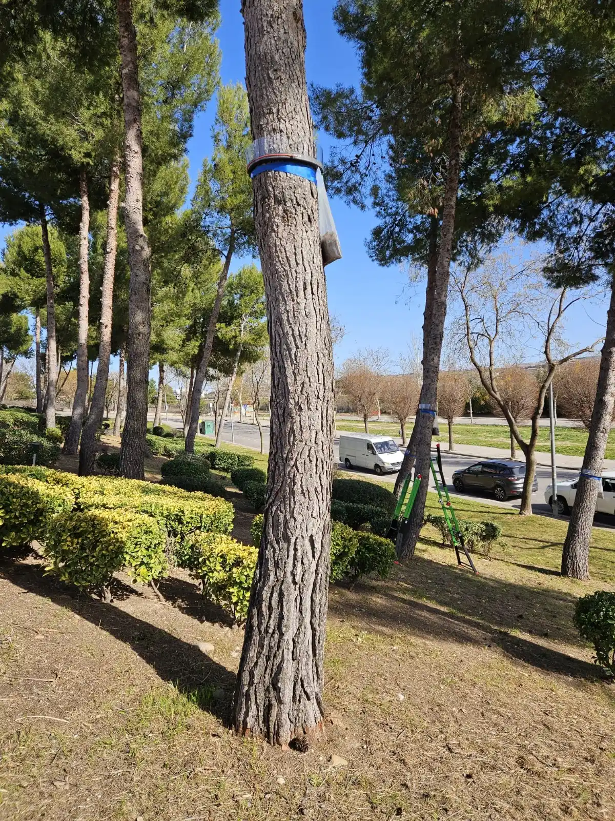 Ayuntamiento de Velilla de San Antonio post