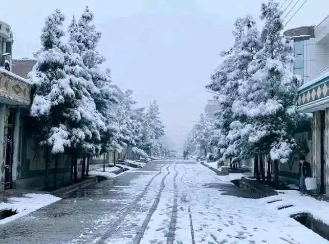 باختر نیوز ایجنسی post