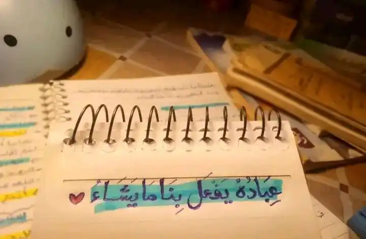 بَصائرُ للْناسِ post