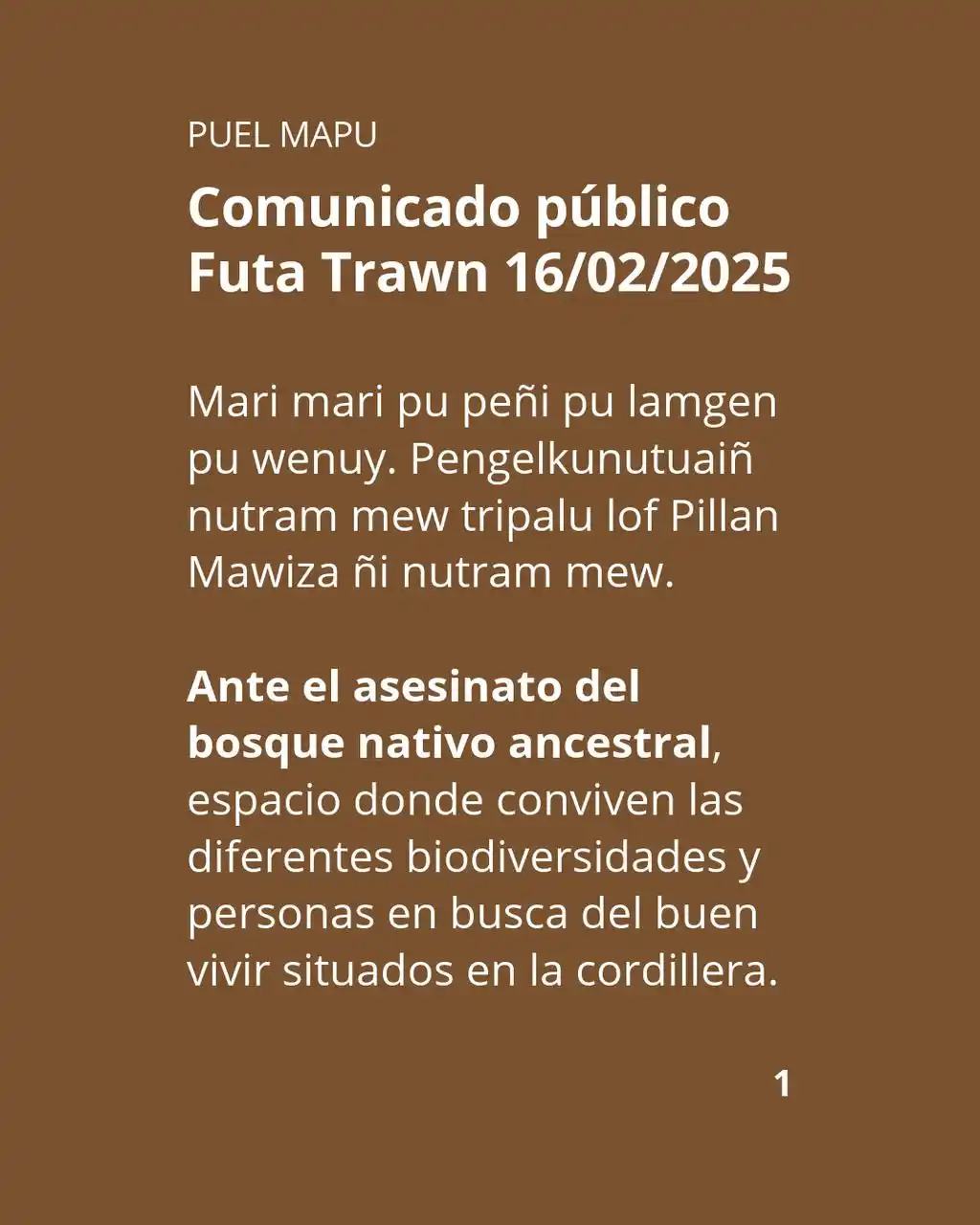 Basta de persecución y Criminalización en PuelMapu post