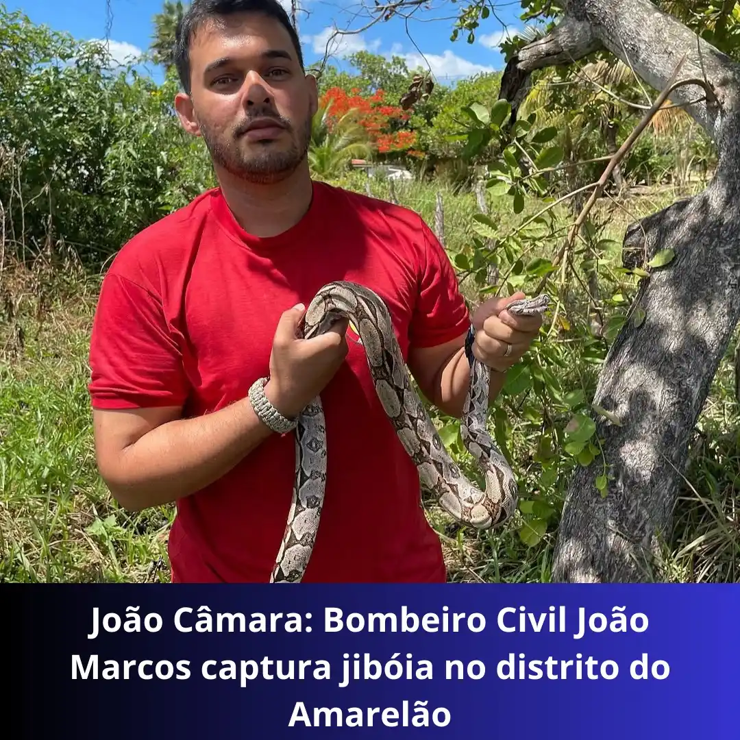 Blogdeassis - Notícias post
