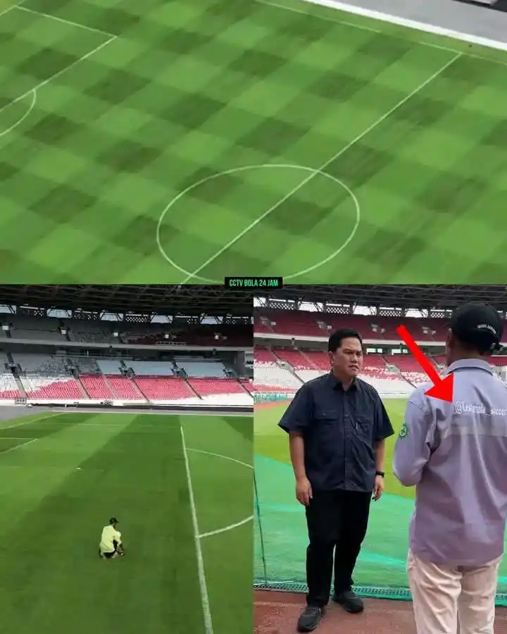 Image from 𝗕𝗢𝗟𝗔.𝗡𝗘𝗪𝗦: 🚨🇮🇩 PT. LESTARINDO RESMI MENJADI VENDOR PENGELOLA RUMPUT STADION GB...