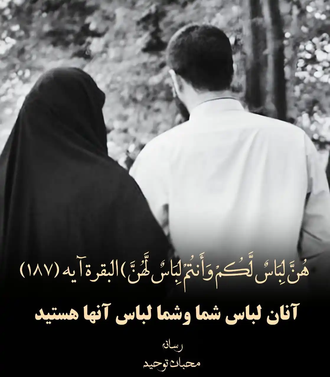 🍀☘️بوی بهشت🌿☘️ post