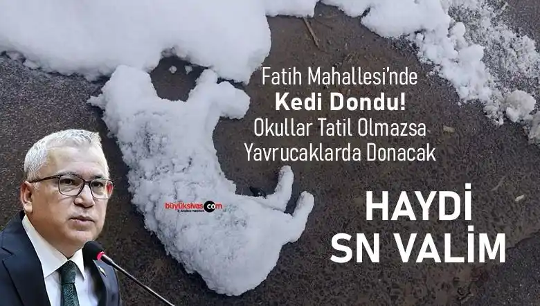 Büyük Sivas Haber post
