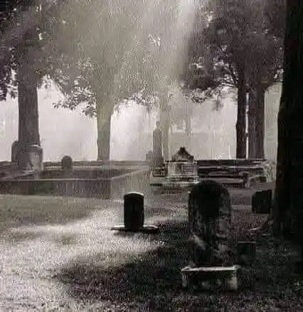 بزم اردو Bazm-e-Urdu post