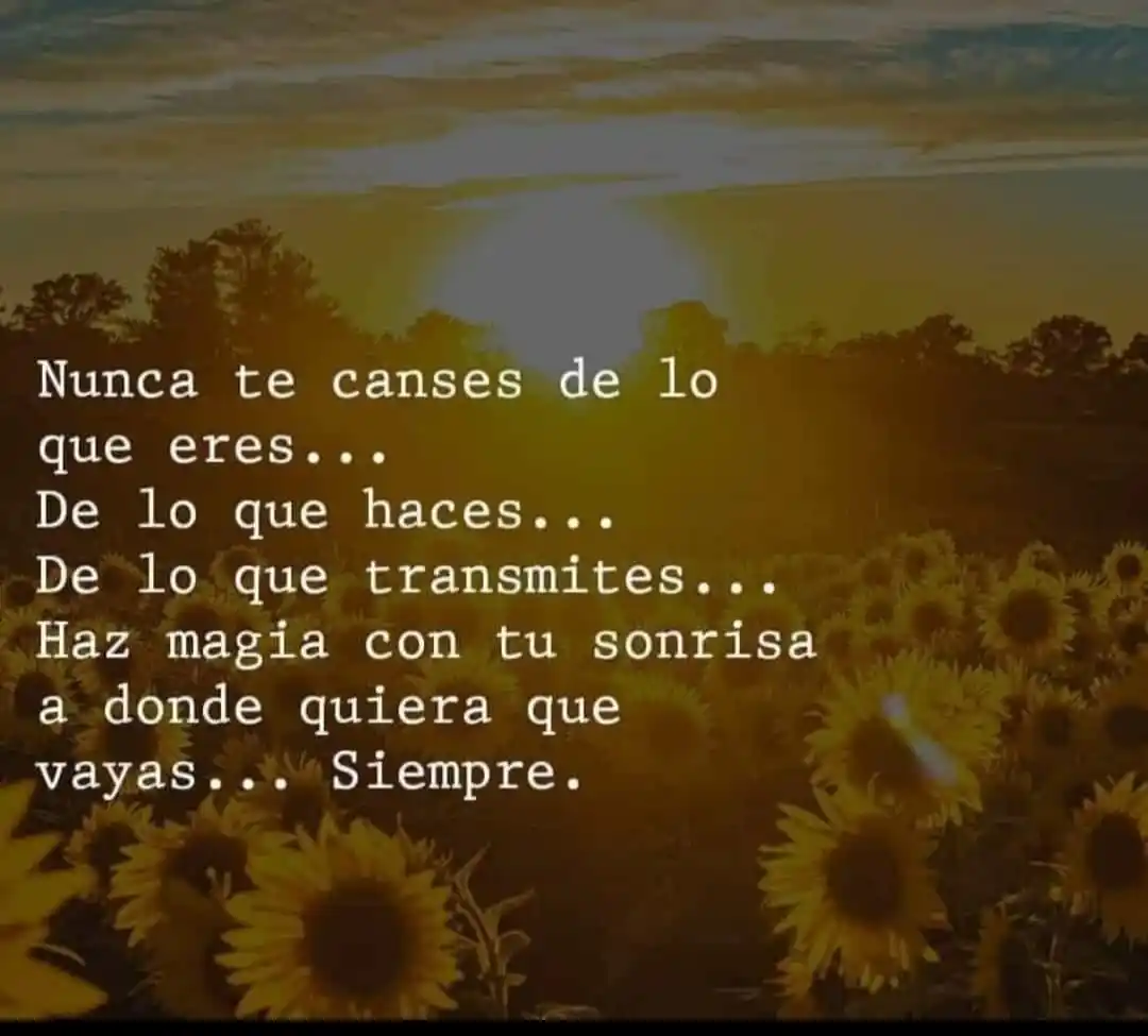 Image from Canal muñozparreño.es 💡: 🌻 No te canses de brillar, de dar lo mejor de ti, de contagiar alegrí...