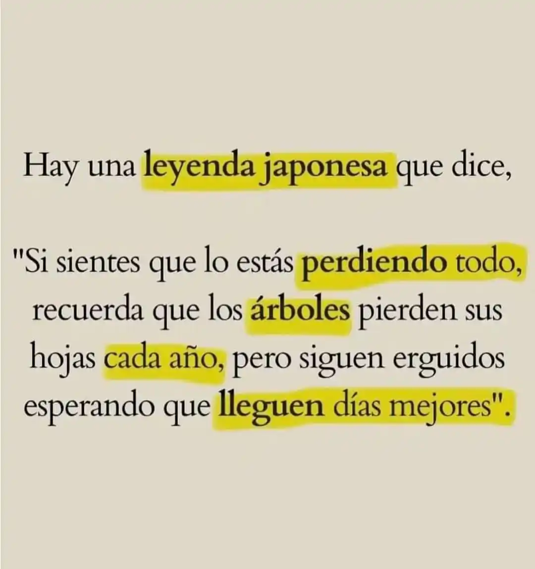 Image from Canal muñozparreño.es 💡: 🍃27/02/2025Si lo sientes todo perdido, recuerda que los árboles renue...