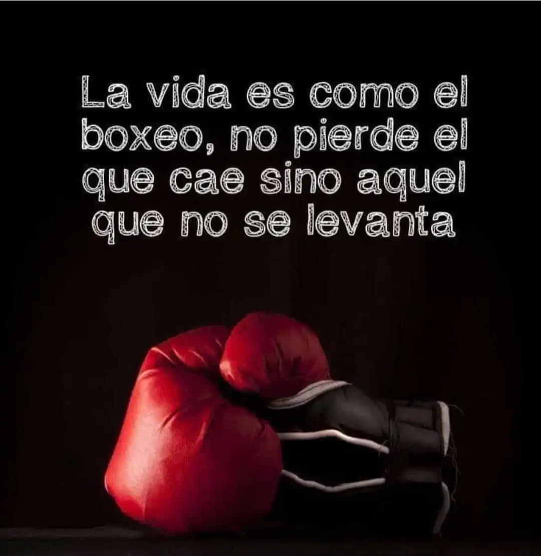 Image from Canal muñozparreño.es 💡: 🥊 Caer no es perder. Lo que te define es cuántas veces te levantas de...