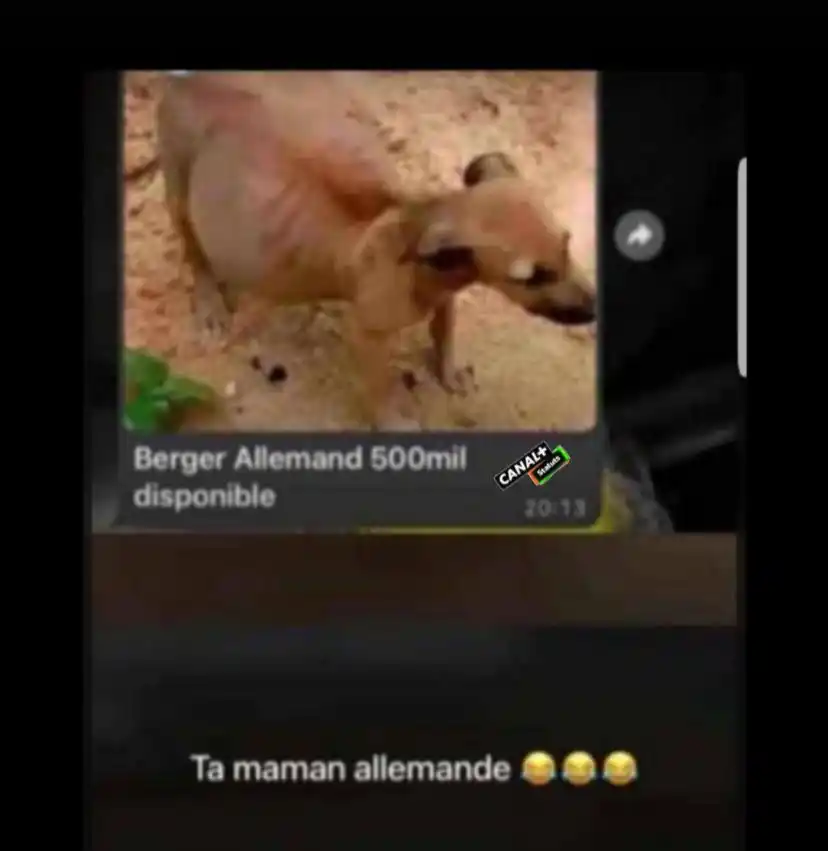 𝕮𝖆𝖓𝖆𝖑+ 𝕾𝖙𝖆𝖙𝖚𝖙𝖘🇨🇮🤣 post