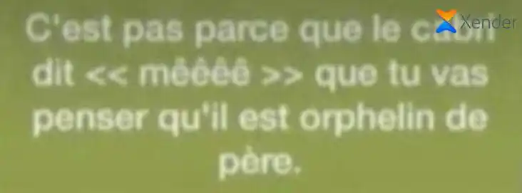 𝕮𝖆𝖓𝖆𝖑+ 𝕾𝖙𝖆𝖙𝖚𝖙𝖘🇨🇮🤣 post