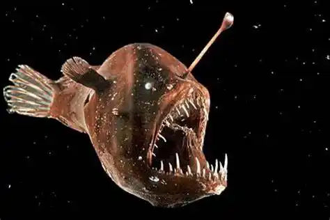 Centro de Investigación Marina - CIM 🌊🌿🐚🦉🌳🦇🐍⚕️🔬🦌 post