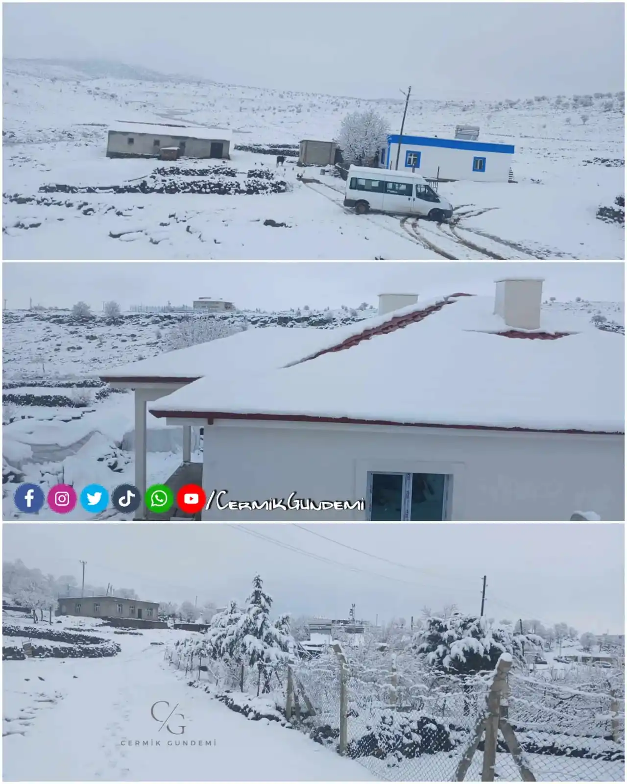 Image from Çermik Gündemi Ve Haberleri: Muhtemelen birçok kişinin ilk defa göreceği bir fotoğraf. Sinek çayı s...