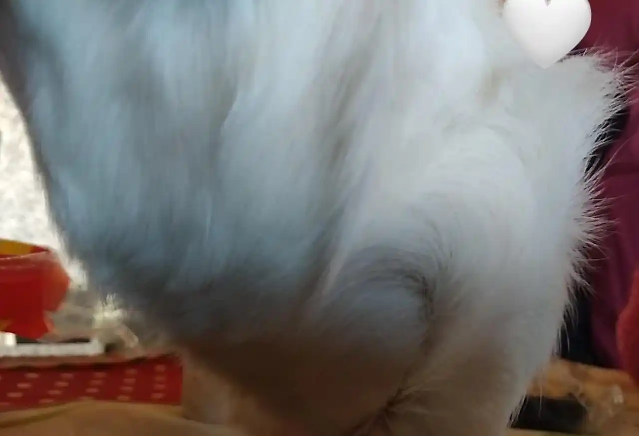 chusmerio para mis meninas ୨୧˚ post