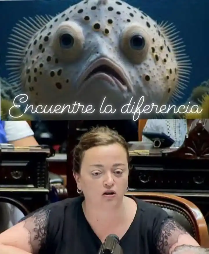 COMUNIDAD LIBERTARIA PBA 🦁🇦🇷 post