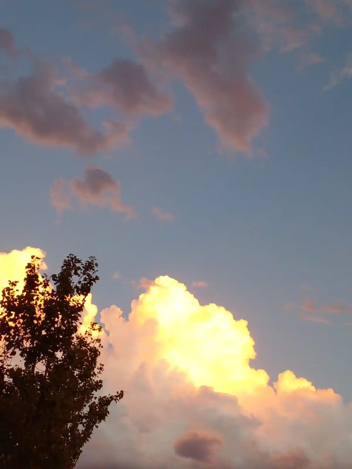 Crónicas Sin Vueltas 🎚ShirHVN post