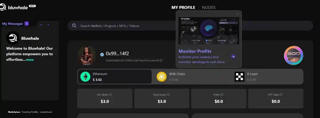 Image from Cryptoverse : 🫧Quick Alpha 🔥🔥 Did you know @bluwhaleai raised $100M in funding a...