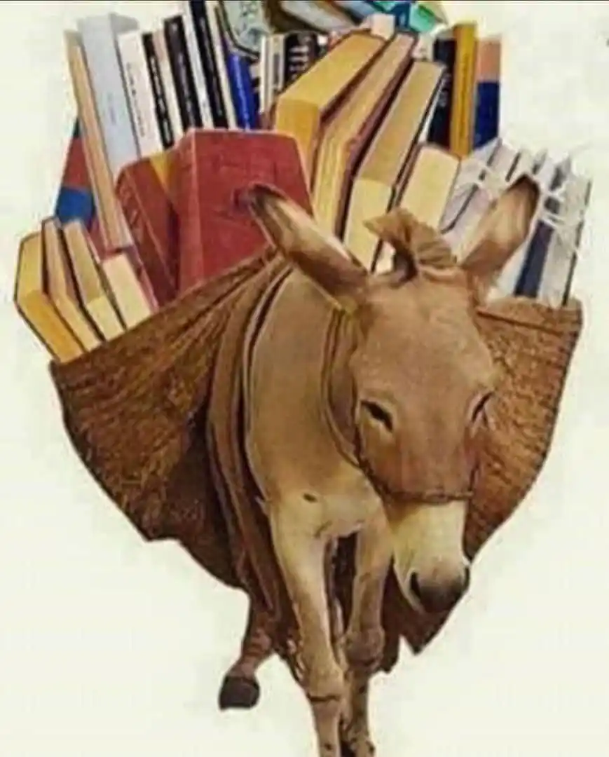 دعشق پــوهنتـون post