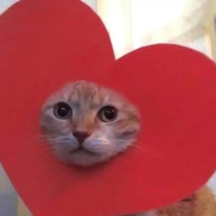 Daily Dose of Altair Aquila post