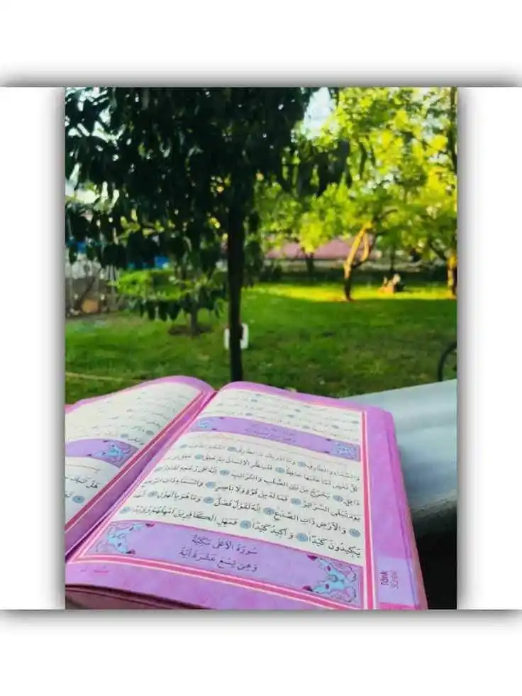 داسلامي نشراتو څانګه post