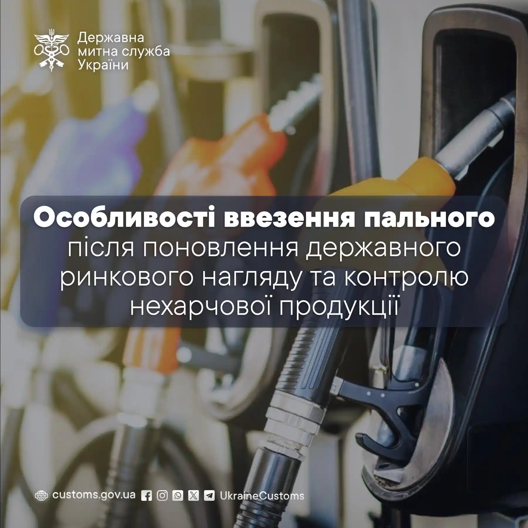 Державна митна служба України  post
