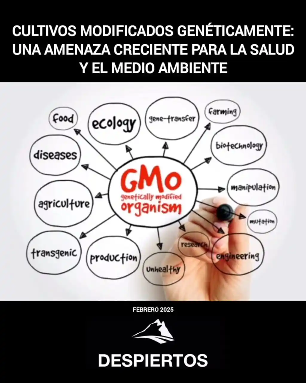 💥DESPIERTOS💥 post
