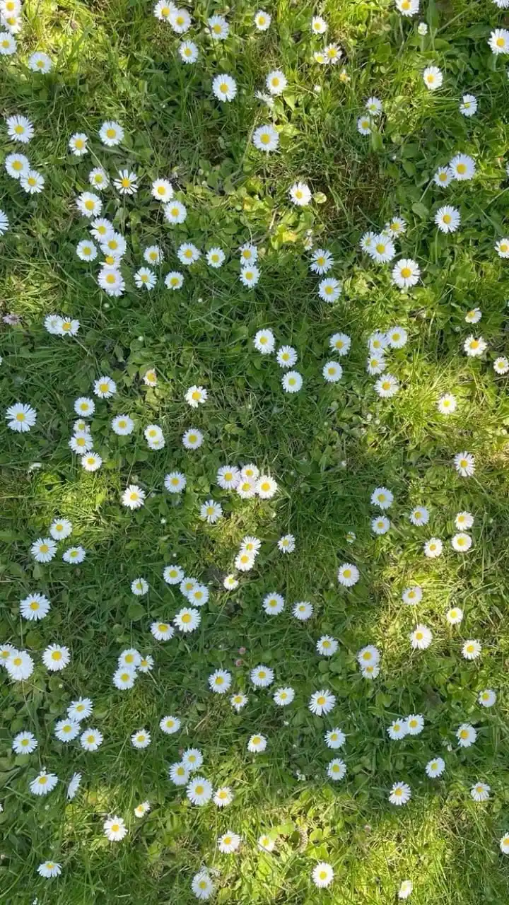 Diary kecil tentang Semesta. post