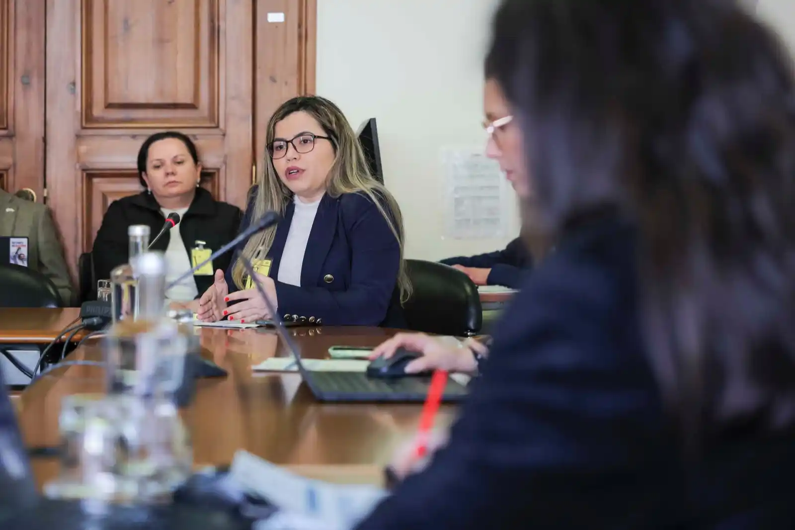 Image from DN Brasil: Uma audição no Parlamento esta terça-feira (25) discutiu formas de gar...