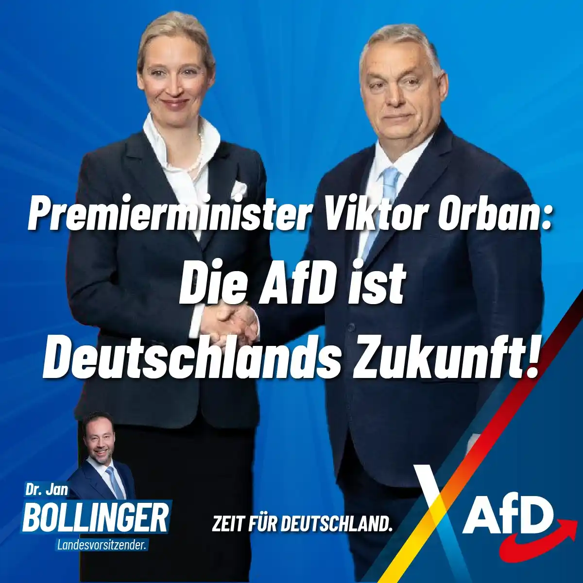 Dr. Jan Bollinger (AfD) post