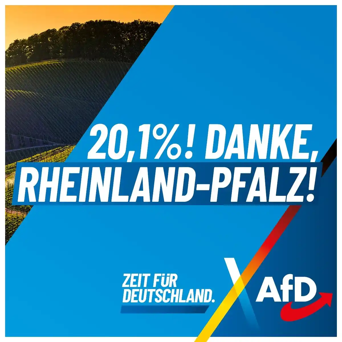 Dr. Jan Bollinger (AfD) post