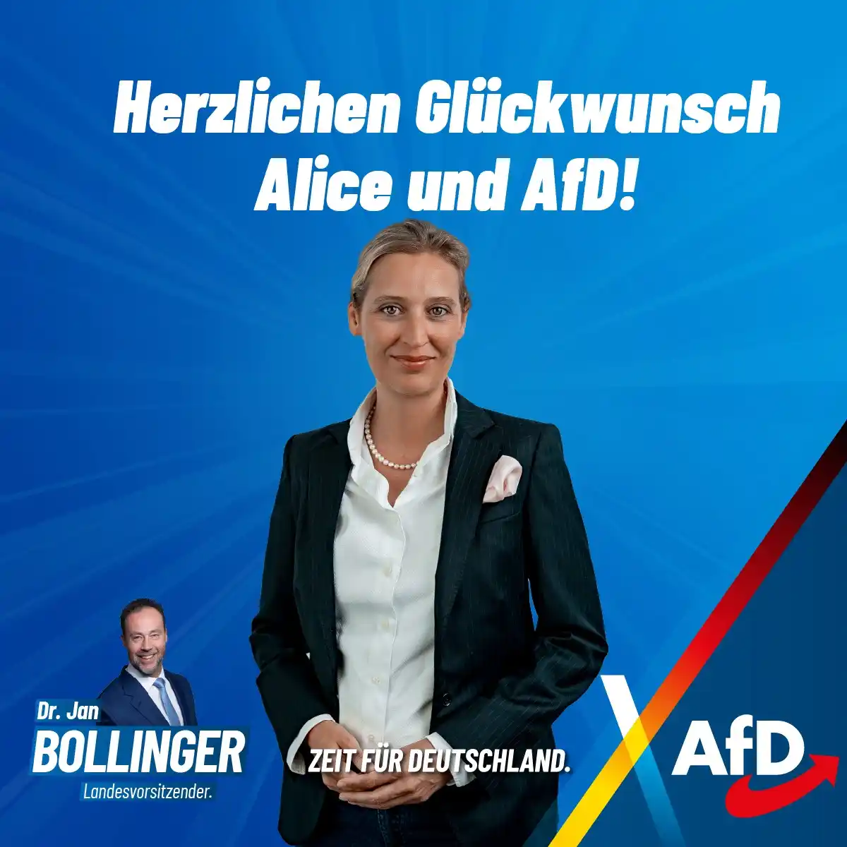 Image from Dr. Jan Bollinger (AfD): Herzlichen Glückwunsch, AfD und Alice Weidel! 🎉🇩🇪 Heute vor 12 Jah...